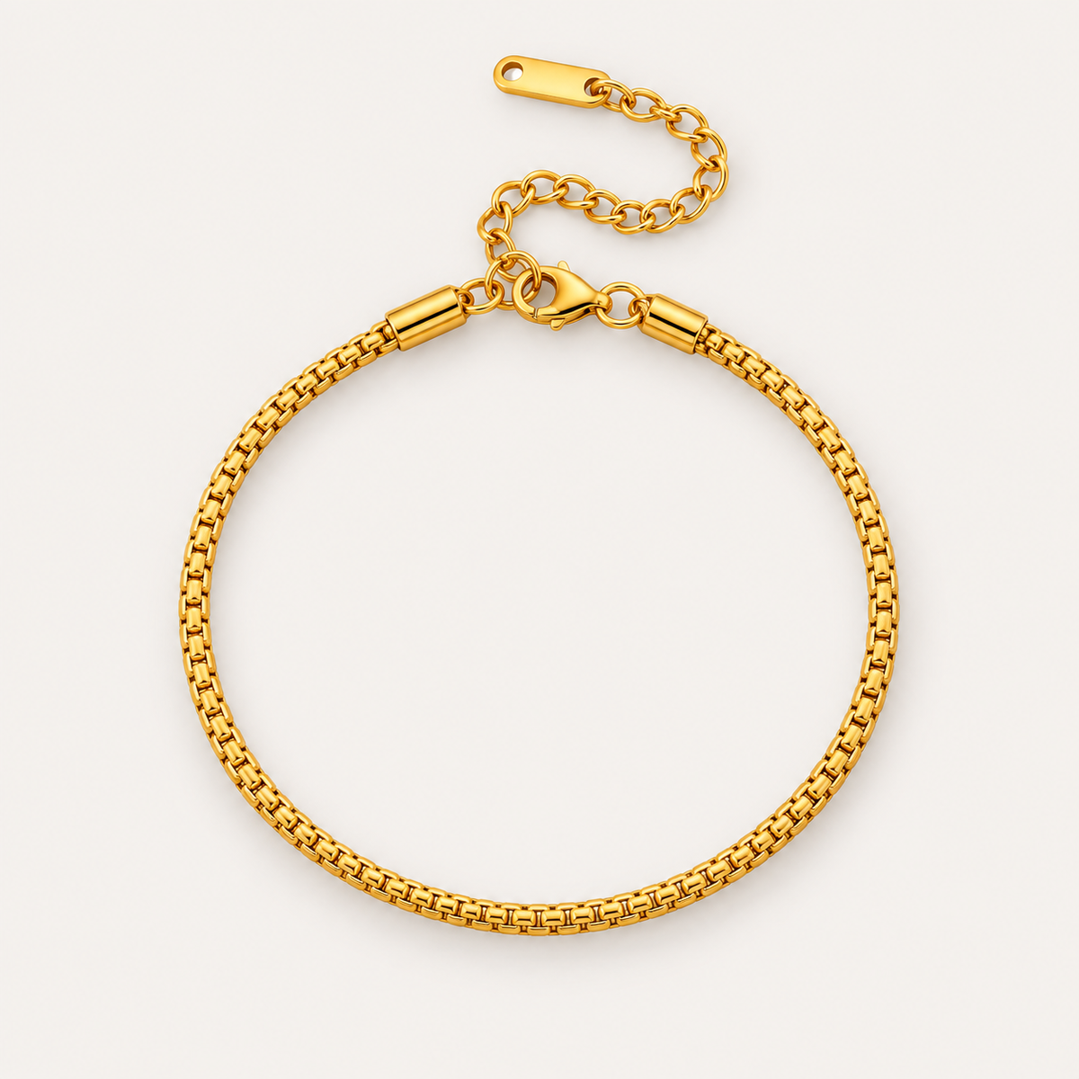 The Amora Box Chain Anklet