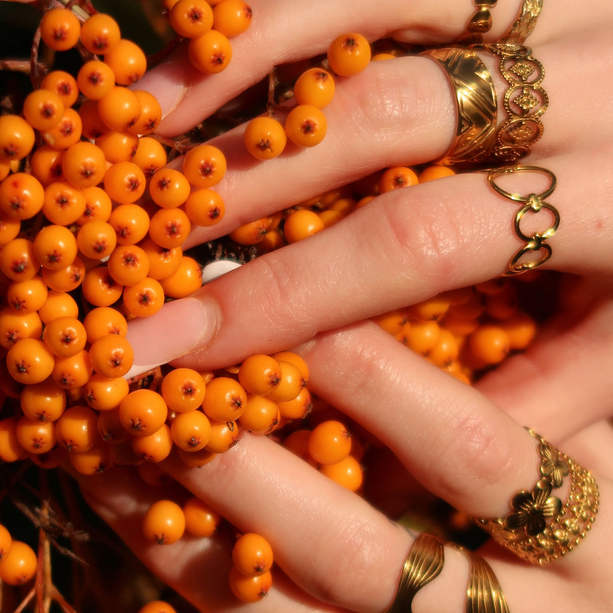Steady Ring