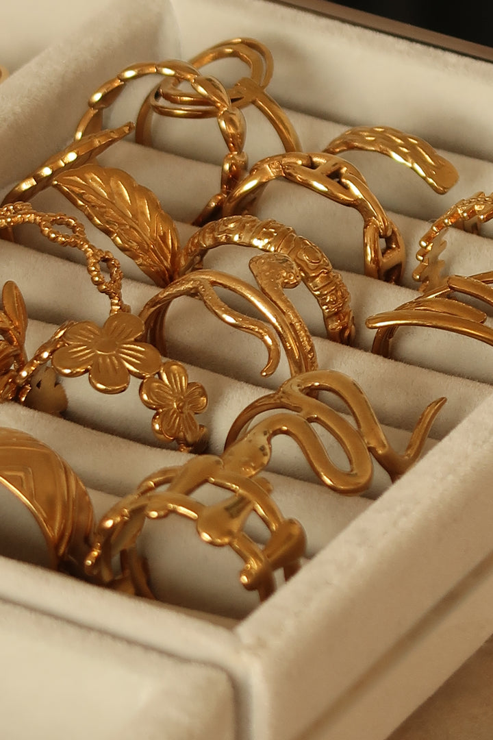 Chapters rings on a velvet tray